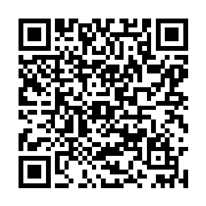 而下一秒他们就必须担心有太多人观看了这场表演二维码生成