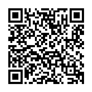 而下意识的排斥这一段她从未接触过的陌生感情罢了二维码生成