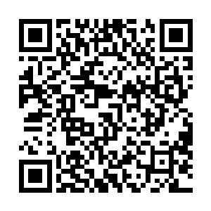而下方的王圣正拖着半残的周润法以蜗牛的速度向校外走二维码生成