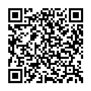 而不会向彩纹煞蛛一样因为没有元灵而慢慢消散二维码生成