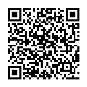 而不必担心危机四伏的陷进及威力巨大的防御法阵了二维码生成
