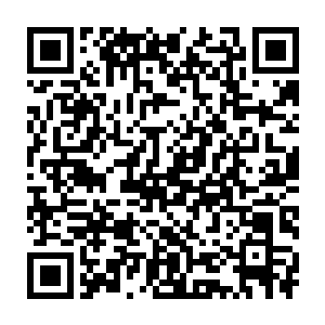 而不是一位一离开万宝阁就会直接被荣亲王和火凤仙子灭杀的可怜人二维码生成