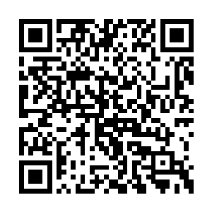 而不是不断地运转灵力与脑海里的黑色斑点对攻二维码生成