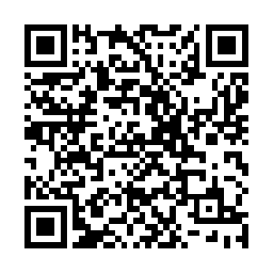 而不是为了用木灵玉来养魂来购买这些价值不菲的东西二维码生成