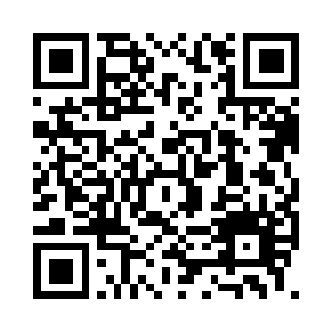 而不是之前泰格所想的那样诊断完毕而已二维码生成