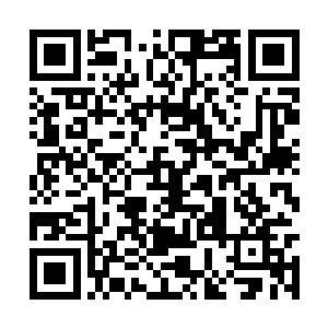 而不是像自己一样一口气就把整个万灵塔凝聚出来二维码生成