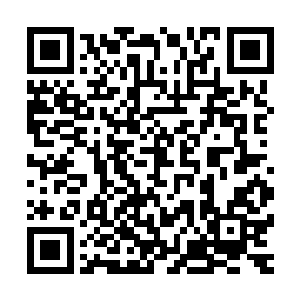 而不是像风玄那样令她只会日复一日地坐在天台上喝酒看日落二维码生成