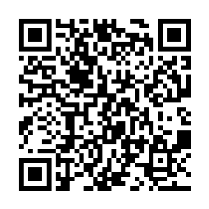 而不是只需要几十联邦币就可以买到一斤的人造猪肉二维码生成