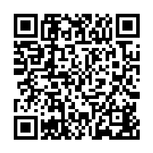 而不是在清洁工面前毫不保留的展示自己的全部二维码生成