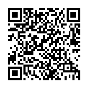 而不是想要看看你现在到底在过着什么人不人鬼不鬼的日子二维码生成