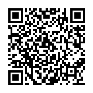 而不是跟着压根儿不熟的人上山下海的挖坟掘墓二维码生成