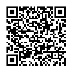 而不是那些每天只知道训练训练在训练的士兵而已二维码生成