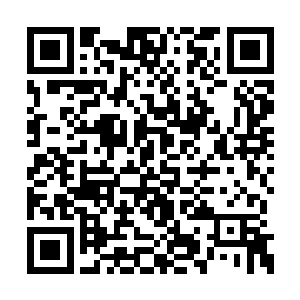 而不是那些该死的借口和永远不承认错误的抵赖二维码生成