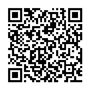 而不是那种善于动脑子的种族……投射过来的幻象更加不用提了二维码生成