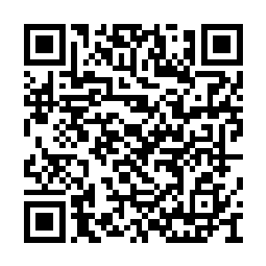 而不知是不是师丝桐之前逼退饕餮族长老的震慑二维码生成