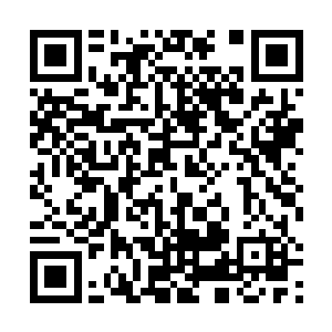 而不知是那青发女仙的修为还是她是秋池阁的仙人身份二维码生成