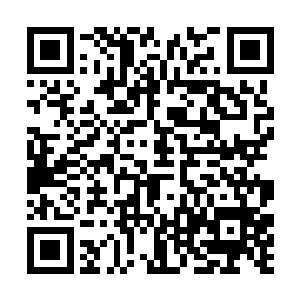 而不要把太多精力放在西塔这样无足轻重的主要原因二维码生成