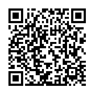 而不远处坐在代离对面的麦野一边大口吃着香甜的高等面包二维码生成