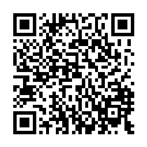 而不远处的向少杰好像也没有让他们冲过来强行拦人的意思二维码生成