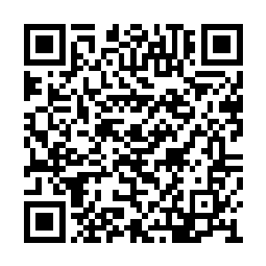 而不顺道带上比图兰聪明灵光许多的玉紫的关系二维码生成