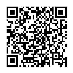 而与此同时走出皇宫坐上马车的东平郡王眉头微微皱了皱二维码生成
