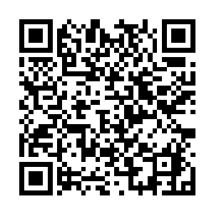 而与陆为民关系密切的地委书记孙震又在香港考察二维码生成