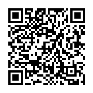 而专业律师和会计师团队的监督审核作用同样不可或缺二维码生成