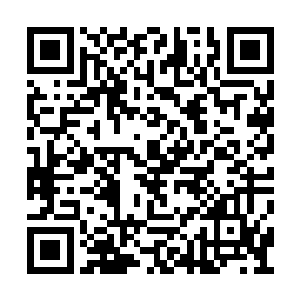 而且……如果你下一次战斗的时候再偷懒躲起来二维码生成