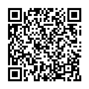 而且……我会连着他所在的小队的队长一起惩罚二维码生成