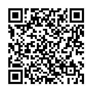 而且……这样活着慢慢地吸人家的血也太残忍了一些二维码生成