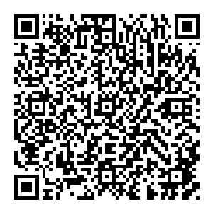 而且　就在这光辉出现之后　原本平静的大河顿时一阵咆哮　一道道肉眼可见的灵气从其中蒸腾而出　那灵气的浓度　简直是让人惊叹二维码生成