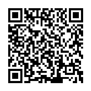 而且一个跟利什曼病原体携带者住在一起的孩子二维码生成