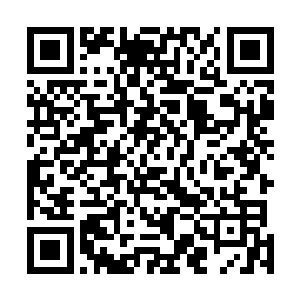 而且一直势均力敌的敌对下去的话……他们两个人的未来二维码生成