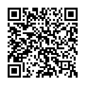 而且一边跑一边不停地把落在身上的蚂蝗往下拽二维码生成