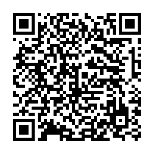 而且一阵阵机械化的机械合成音也开始在整个城市的上空回荡起来二维码生成