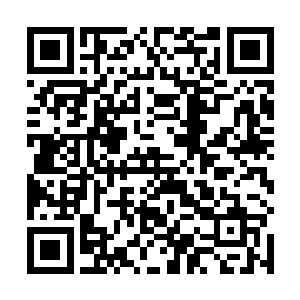 而且七星坊还莫名其妙多出来一位修为高深的太上长老二维码生成