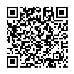 而且三族圣级修士也暂时纠缠住十八个圣级九层域外天魔二维码生成