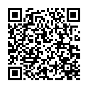 而且不少魔道修士更是施展魔道秘术发动了不少的傀儡二维码生成