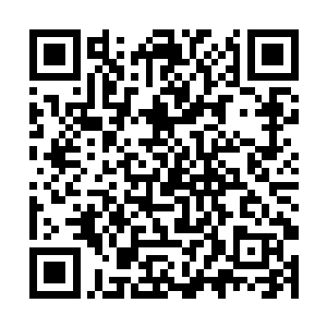 而且主任跟自己提及这个事情的目的难道还不明显吗二维码生成