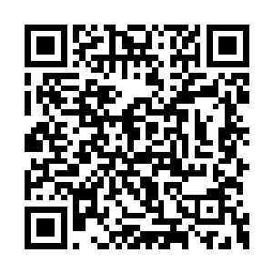 而且乐队成员都认可公路巡演应该按照计划完成二维码生成