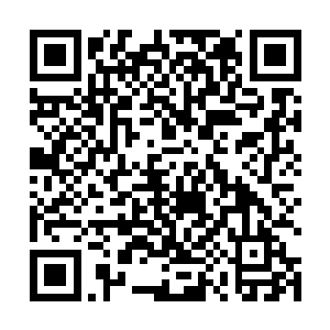 而且乔远帆居然用一盆在普通不过的剑兰打败了龙王兰二维码生成
