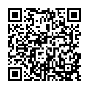 而且九幽断脉钉造成的创伤并不是将经脉断裂就结束了二维码生成