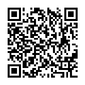 而且也不能够把周景鹏腿上的寒毒驱散得这么快了二维码生成
