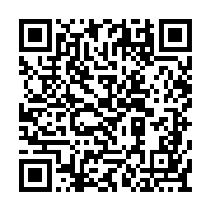 而且也只有紧挨着沙梁和洼崮镇边缘有一片平地二维码生成