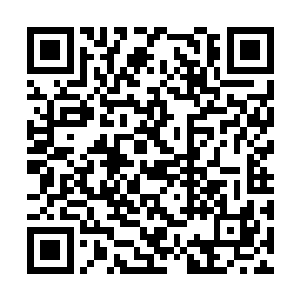 而且也向青溪市委组织部部长苗一岚行贿二十万元二维码生成