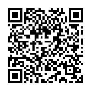 而且也没有对她和卢向东的关系造成什么实质性的损害二维码生成