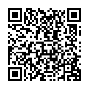 而且也看到他并没有下死手直接把人都一爪子拍死二维码生成