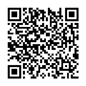 而且也绝对可以说是目前国内最当红的女歌手廖辽二维码生成