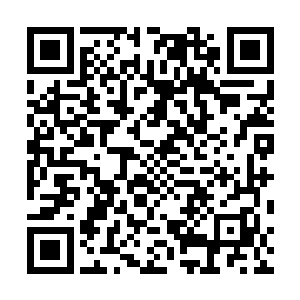 而且人类修士中也有着一些铤而走险者与妖族联合到一起二维码生成