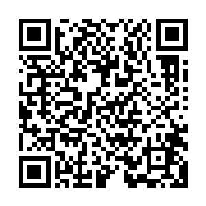 而且人那一层慢慢蠕动上的皮肤下的手指竟然慢慢的开始发痒二维码生成